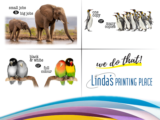 Small jobs or big jobs, one copy or many, black and white or full colour – we do that!
